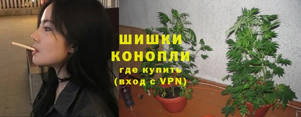 амф Костерёво