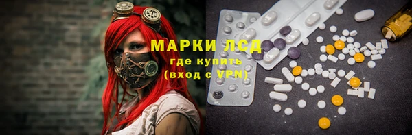 шишки Краснослободск