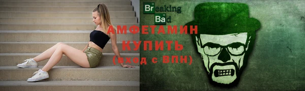 шишки Краснослободск