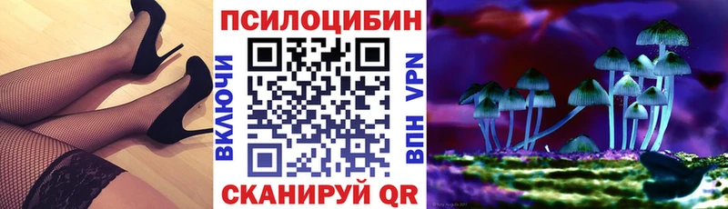 продажа наркотиков  Лесосибирск  Псилоцибиновые грибы мицелий 