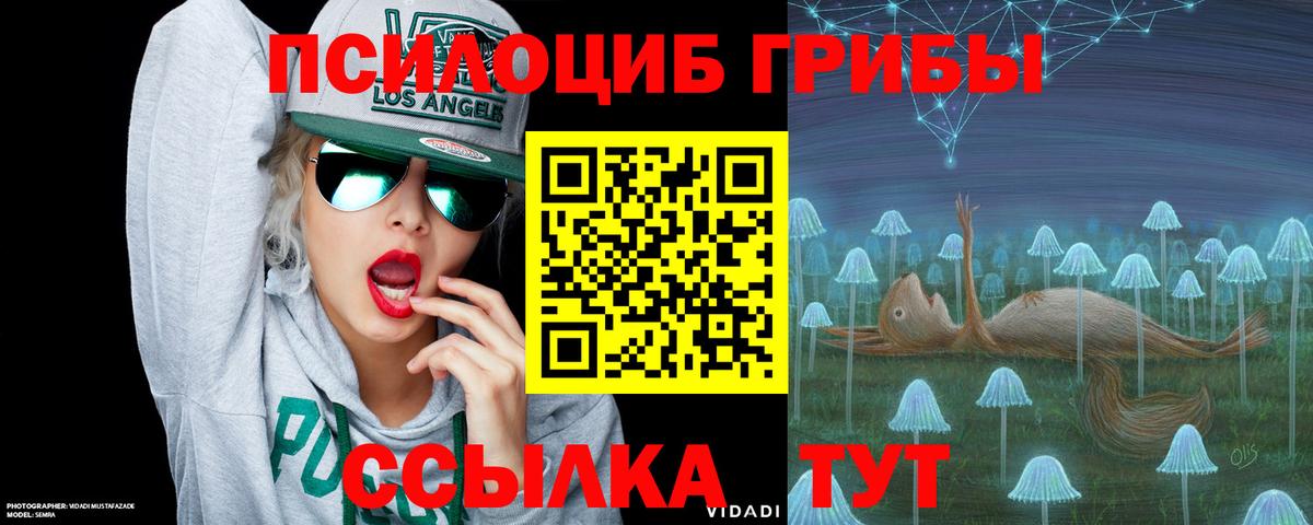 Псилоцибиновые грибы Magic Shrooms Лесосибирск
