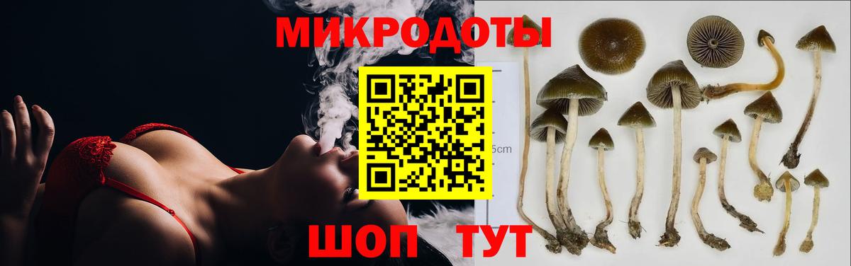Галлюциногенные грибы Magic Shrooms  Вход с VPN  Псилоцибиновые грибы GOLDEN TEACHER  даркнет сайт  Лесосибирск 