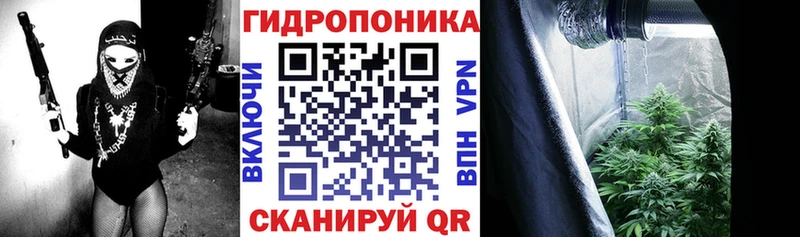 Шишки марихуана семена  мориарти наркотические препараты  Лесосибирск 